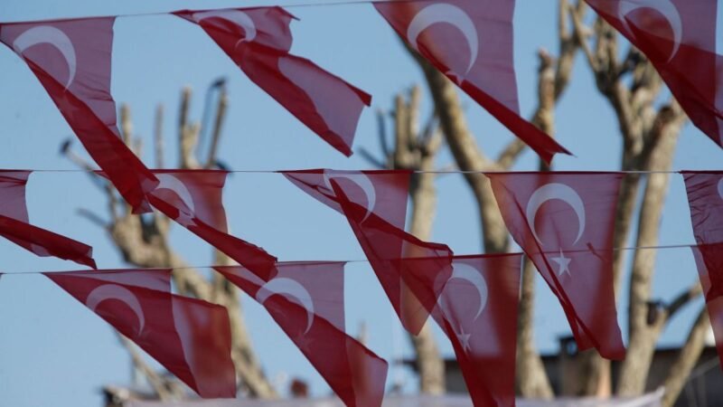 El Festival de Kapikaya se inaugura en Bafra, Turquía, celebrando la cultura local y la música.