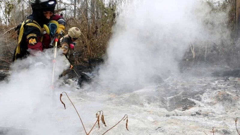 Bolivia declara emergencia nacional debido a tres incendios forestales en distintas regiones del