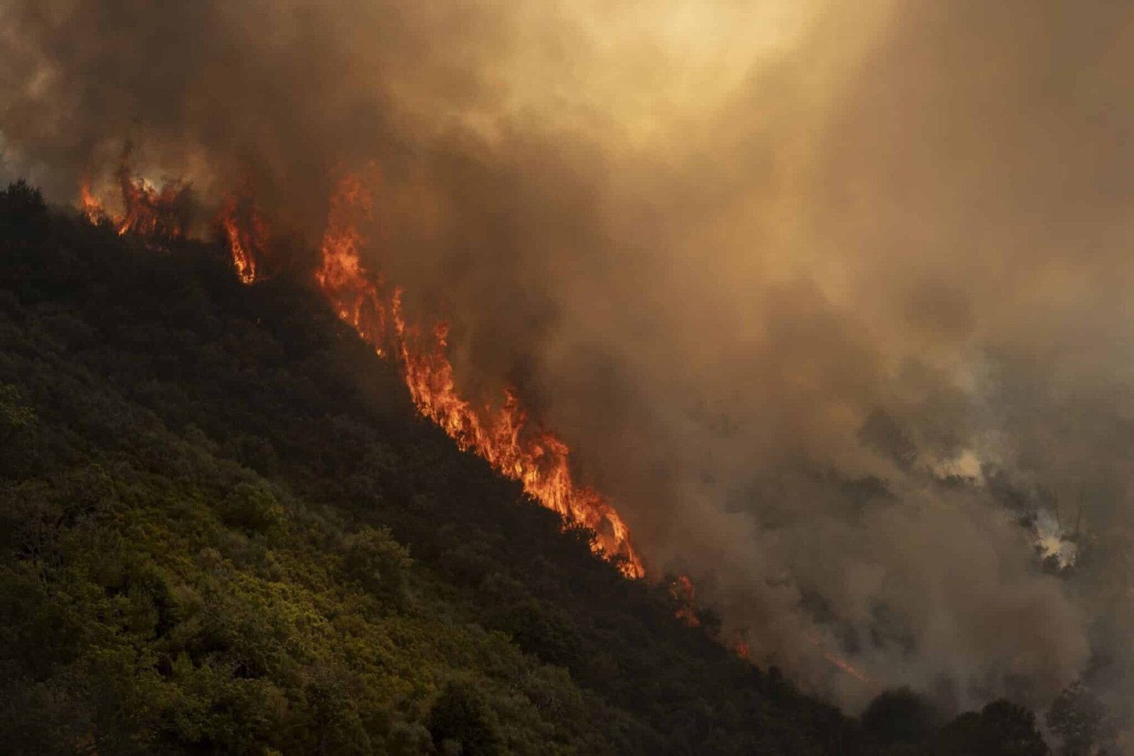 Ourense arde mientras se espera la calma en los incendios de Ávila y Las Hurdes