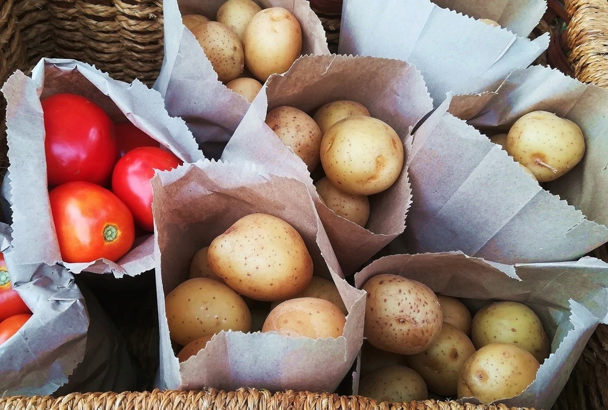 ¿Sabías que la patata y el tomate comparten más que sus nutrientes? Descubre sus sorprendentes