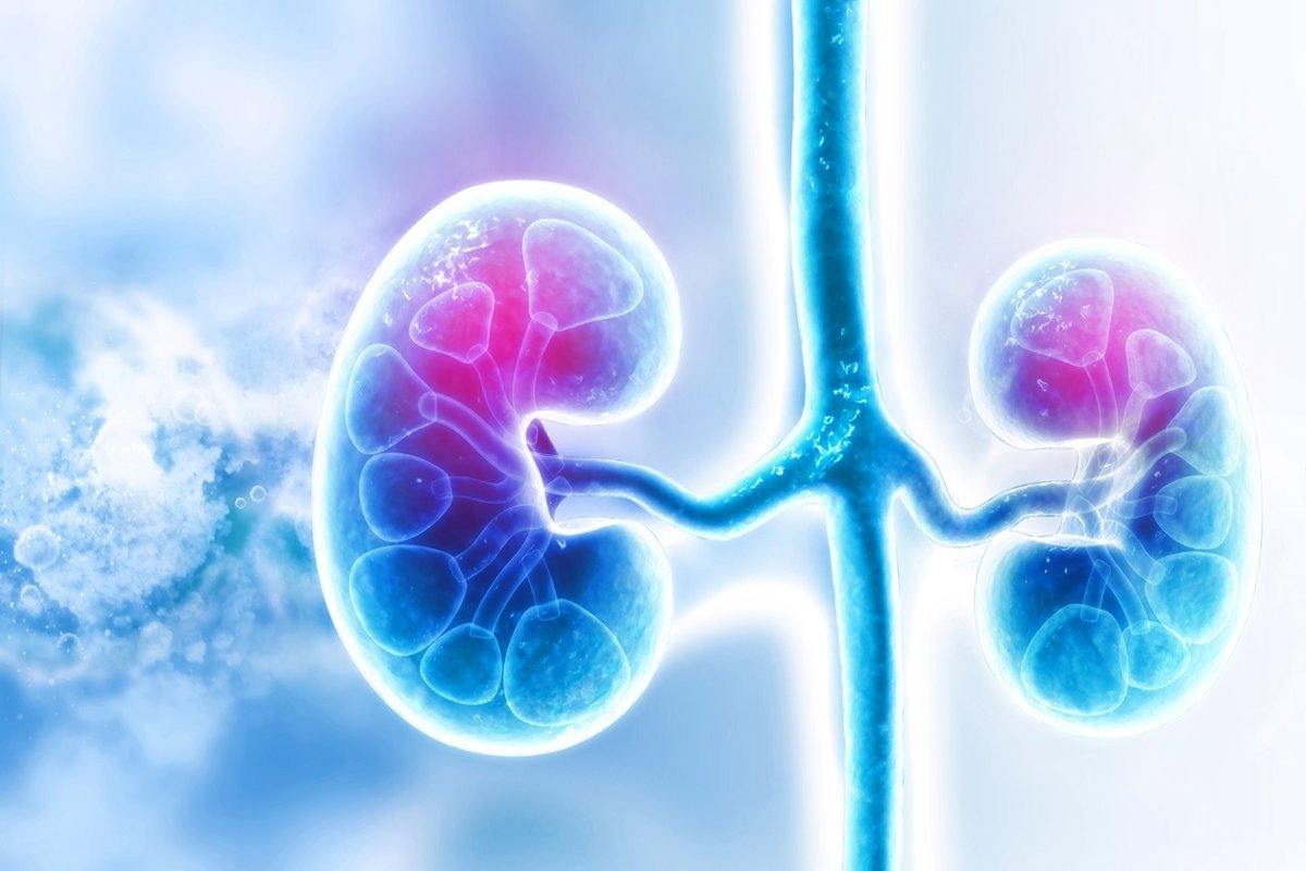 La prevalencia de la enfermedad renal crónica aumentó y 4,59 millones requieren tratamiento en