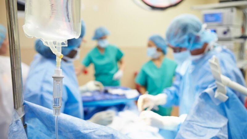 Un trasplante de médula ósea frena la microgliopatía en ratones y humanos