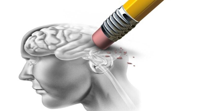 Alzheimer y colesterol: un problema en la captación neuronal podría explicar la enfermedad