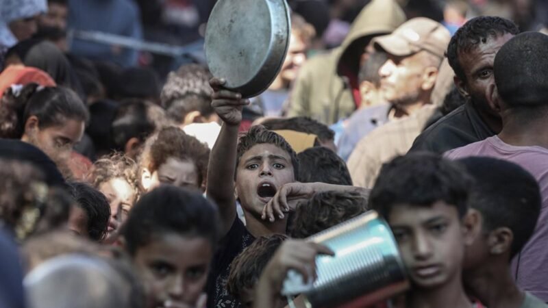 La OMS advierte que cerca de 12.000 niños en Gaza padecen desnutrición aguda, unas cifras récord
