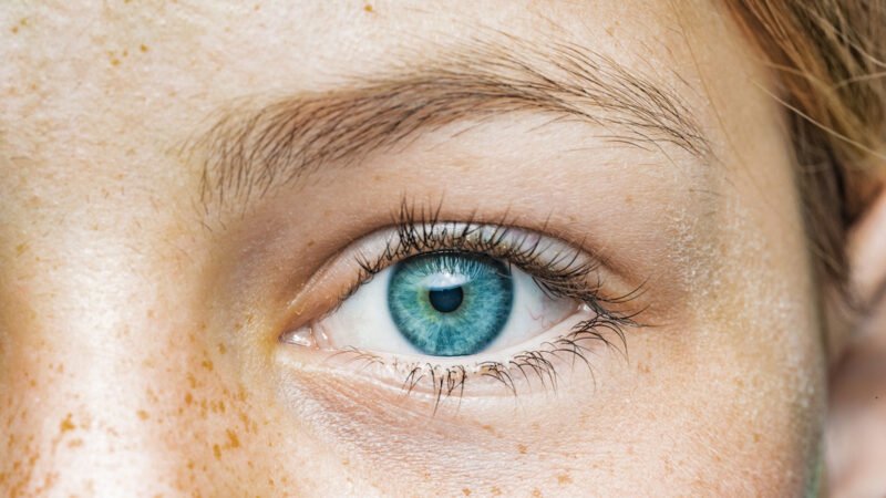 Células de la retina restablecen la visión diurna en un modelo de retinosis pigmentaria