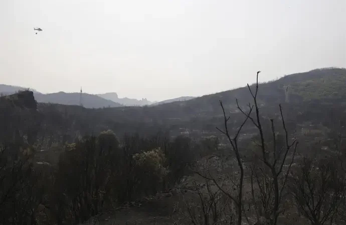 Arqueólogo relaciona fuegos de Las Médulas y Mezquita de Córdoba con «privatización»: «Es