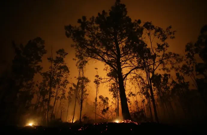 La Armada se moviliza contra incendios y Feijóo propone prohibir el burka y el niqab en lugares