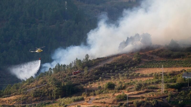 Grupos más sensibles al humo de incendios: consejos de neumólogos para su protección