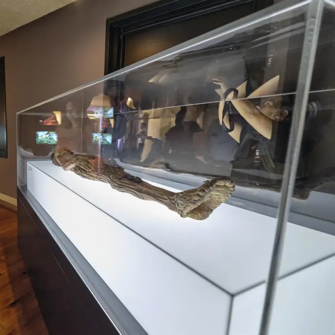 Cultura regresará los restos humanos retirados a su contexto, cumpliendo con las recomendaciones