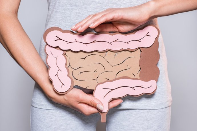 Colon inflamado: la grasa que podría estar detrás de esto