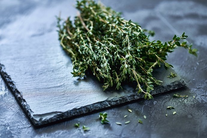 Extracto de tomillo: beneficios y usos para mejorar tu bienestar