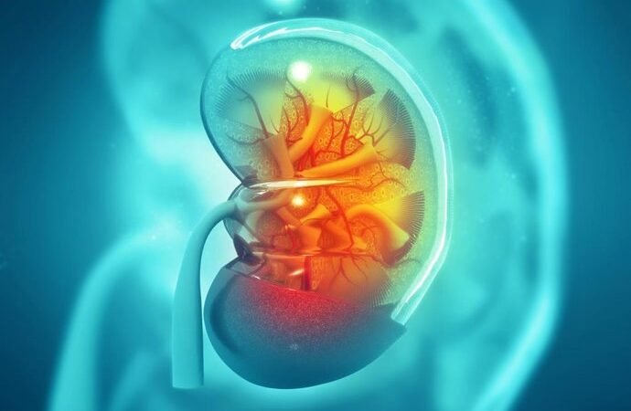 Tu riñón puede no funcionar bien sin que te des cuenta: esta es la señal silenciosa