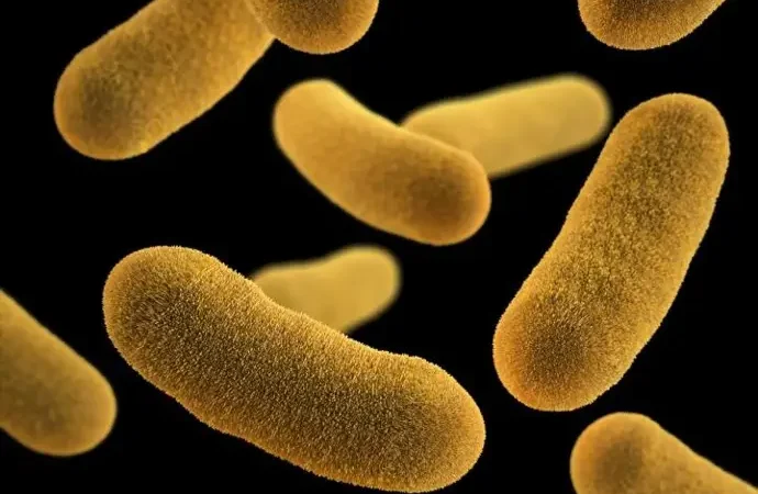 El óxido nítrico inhalado podría ser eficaz contra bacterias resistentes a antibióticos