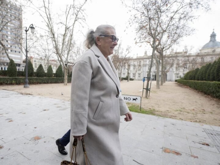 Pano afirma que los 90.000 euros entregados en Ferraz eran de Villafuel y que Aldama mencionó a