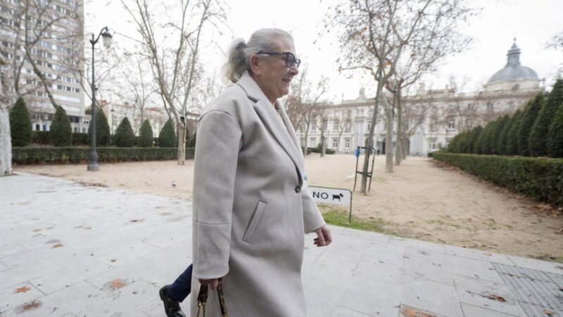 Pano afirma que los 90.000 euros entregados en Ferraz eran de Villafuel y que Aldama mencionó a