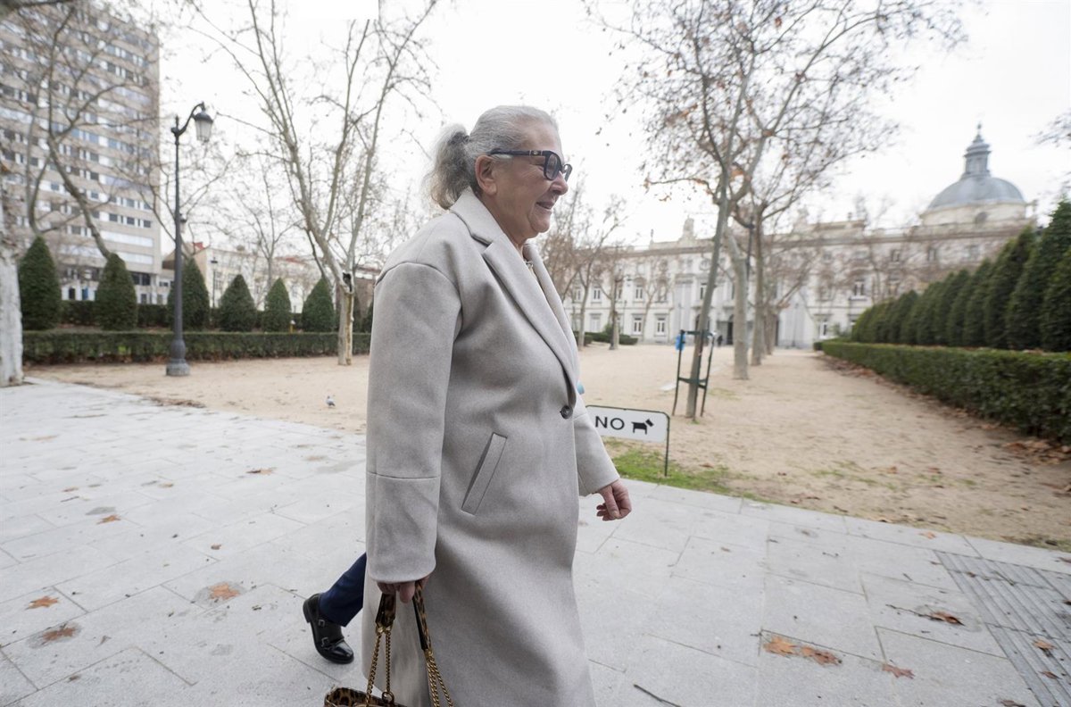 Pano afirma que los 90.000 euros entregados en Ferraz eran de Villafuel y que Aldama mencionó a