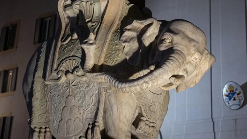 Se da a conocer que uno de los colmillos del elefante de Bernini en Roma está roto