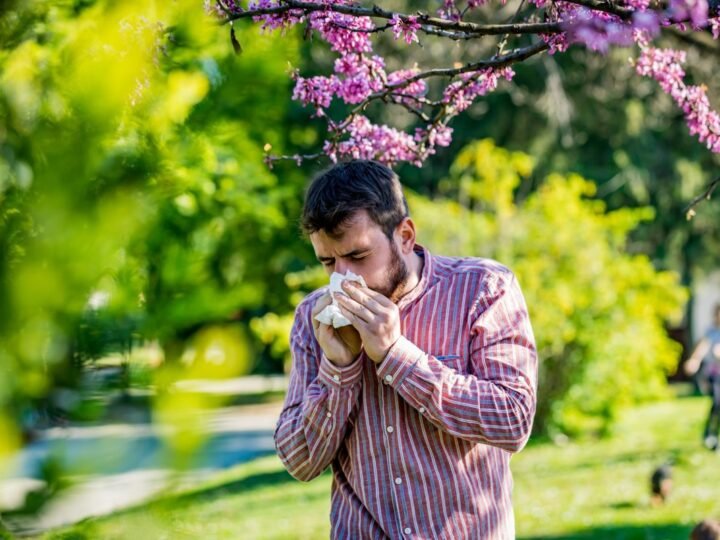 Expertos advierten sobre una primavera intensa de alergias en España