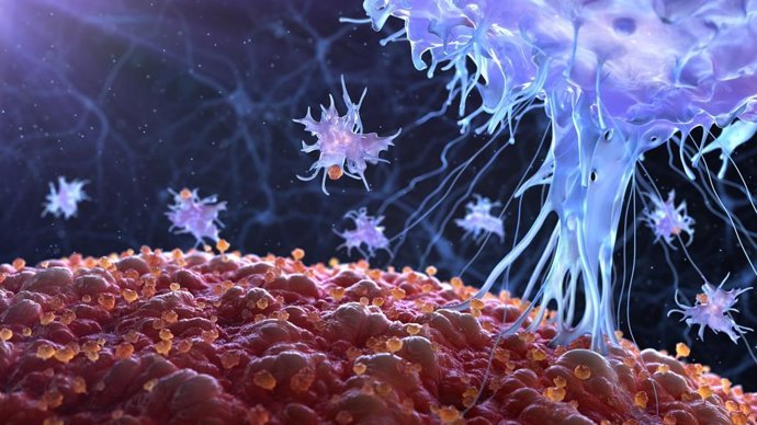 Crean nanopartículas que reprograman defensas para combatir el lupus y el cáncer en la sangre