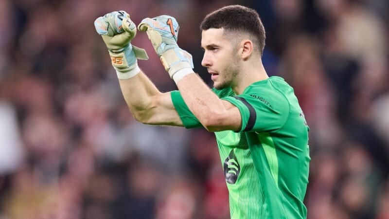 Joan García, Mosquera, Soler, Barrenetxea y Muñoz se suman a la convocatoria para Serbia y Egipto