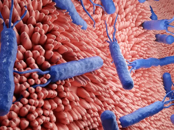 Hidrogel innovador libera antibióticos en heridas infectadas para combatir superbacterias