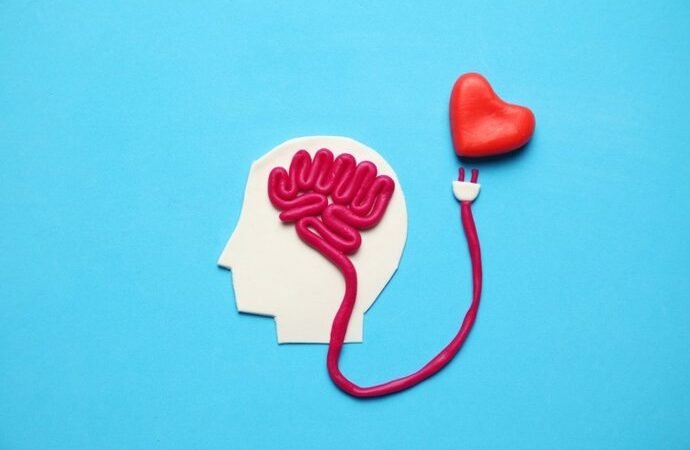 Infartos, ictus y memoria: guía para mayores que prioriza la salud del corazón y el cerebro