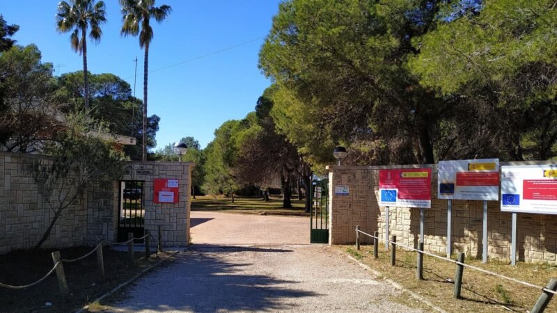 El centro de fauna de El Saler recibió más de 9.000 animales en 2025 y advierte sobre el cambio