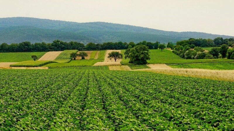 El congreso de agricultura y biodiversidad promueve una transición agraria sostenible en España