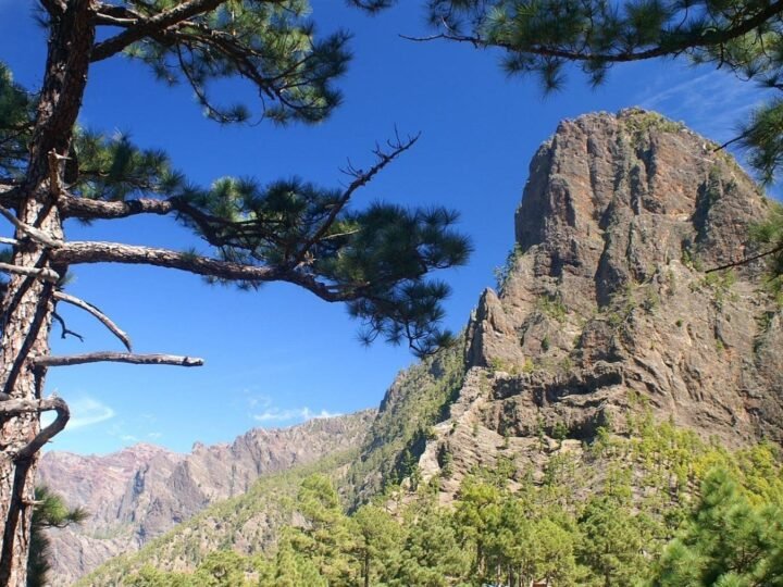 Canarias impulsa con urgencia una nueva ley de biodiversidad y recursos naturales en un marco