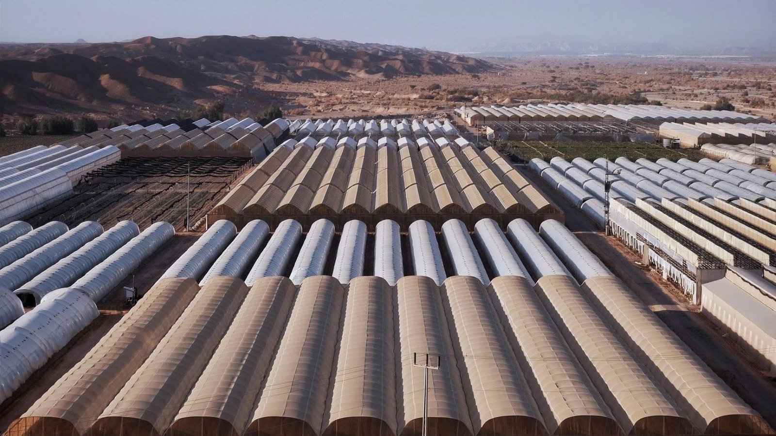 Proyecto NutriLoop valida el uso de agua regenerada para el riego agrícola ante la escasez hídrica