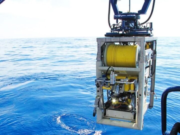 Nuevos fondos marinos descubiertos hasta 500 metros en expedición del Parque Nacional de Cabrera