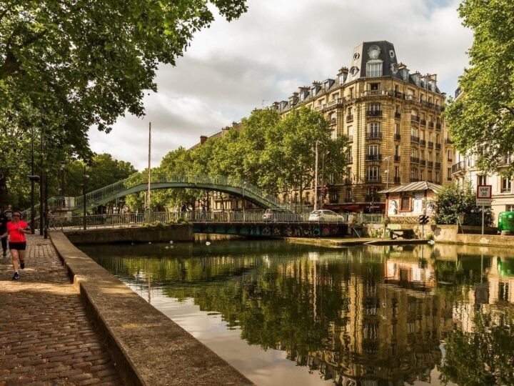 Arbolado urbano y bienestar en las ciudades: especialistas advierten sobre la falta de espacios