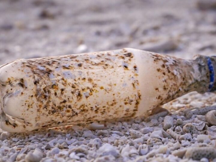 Microorganismos descomponen plásticos gracias a genes que se encuentran en más del 95% de las