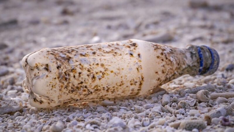 Microorganismos descomponen plásticos gracias a genes que se encuentran en más del 95% de las