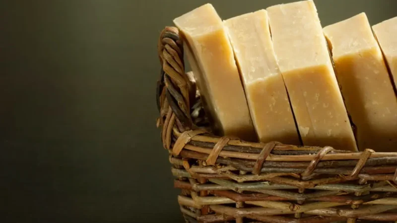 Antibacterianos en jabones y toallitas: un riesgo latente de resistencia a los antimicrobianos