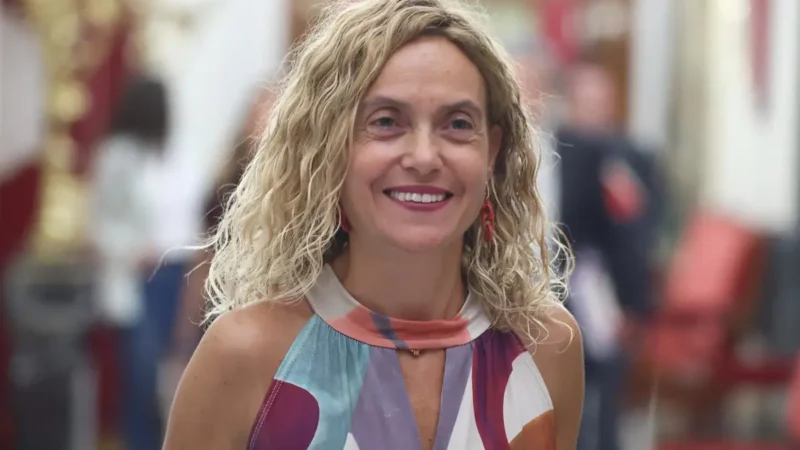 Meritxell Batet confiesa que no ha visto las sesiones del Congreso en dos años por el dolor que le