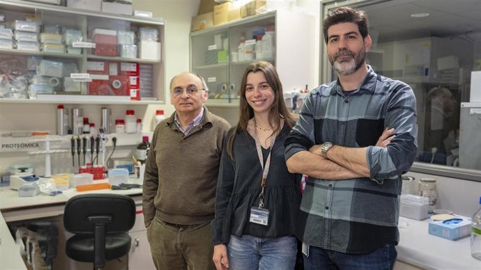 Descubren cómo las histonas extracelulares contribuyen a la muerte celular en la sepsis