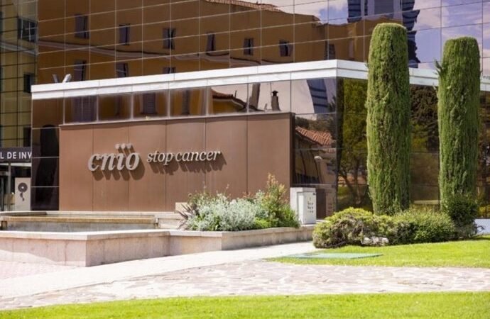 El patronato del CNIO designa a Cristina Navarro Enterría como directora gerente