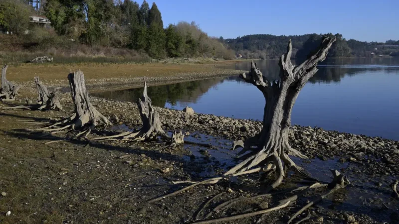 El Gobierno reafirma su compromiso con el reconocimiento de los sistemas de regadío histórico