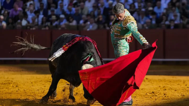 El Senado pide al Gobierno proteger al toro de lidia y derogar la Ley de Bienestar Animal con apoyo