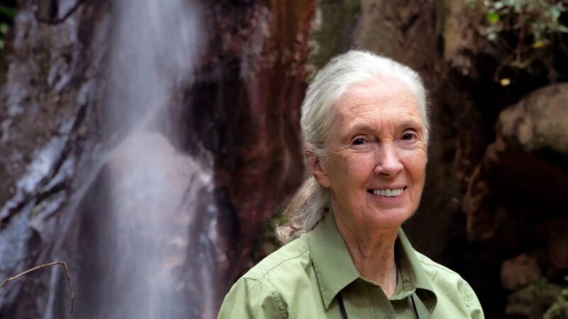 reflexiona cada día sobre el impacto de tus decisiones, lo que consumes y lo que adquieres