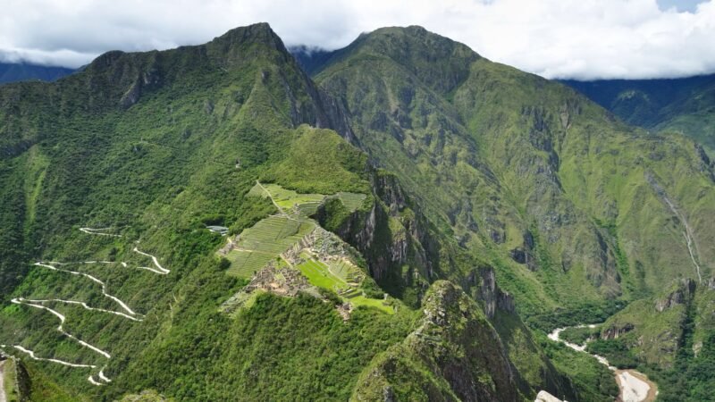 Perú lanza iniciativa de reforestación en Machu Picchu: un millón de árboles nativos a plantar