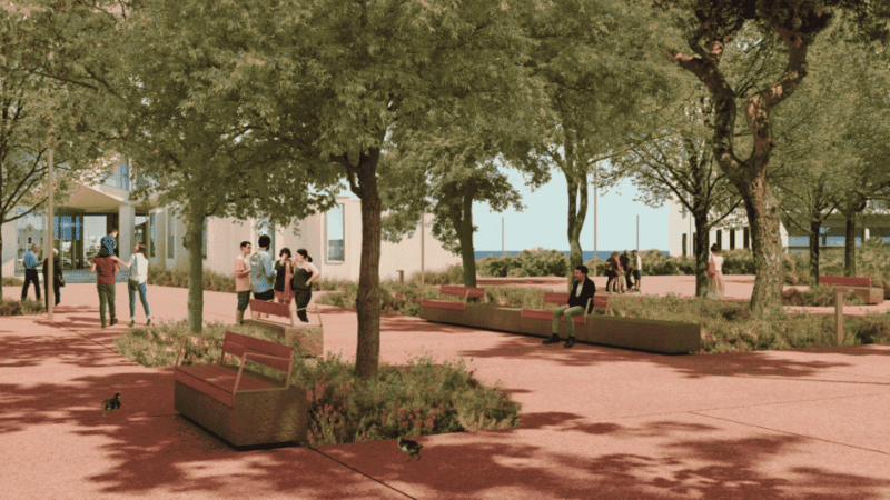 Parc del Port Tarragona: un espacio sostenible que transforma la ciudad ante el cambio climático