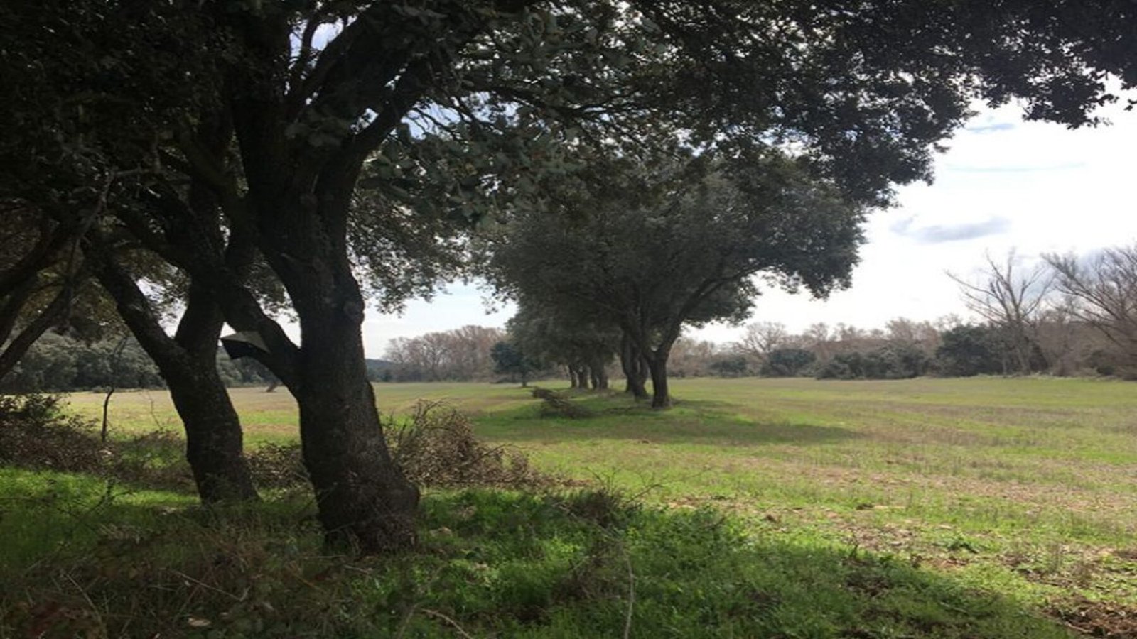 La apertura de pistas en La Rioja genera polémica por su impacto en el medio ambiente