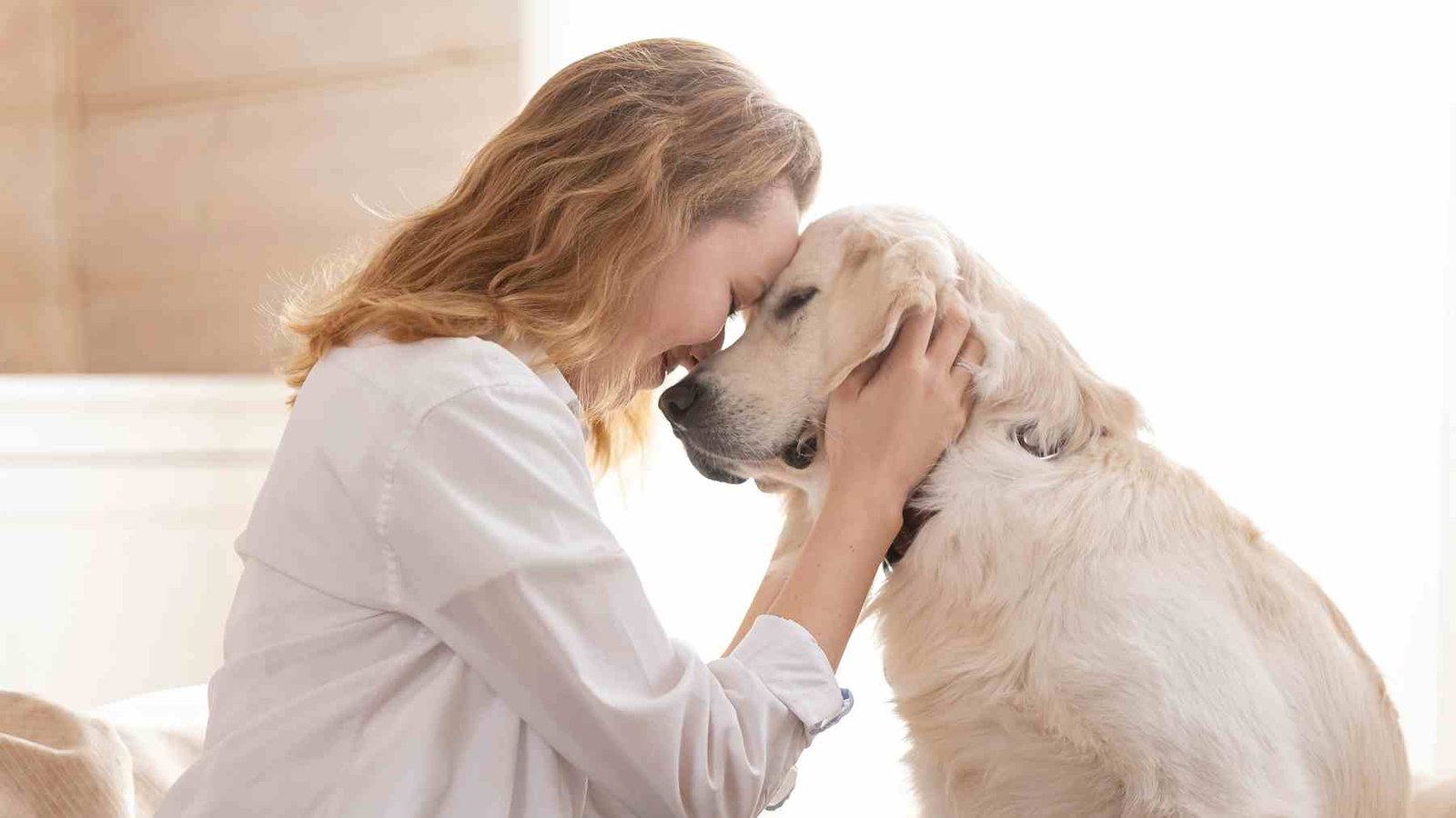 Los estudios muestran que quienes se despiden de sus perros son más empáticos y sensibles