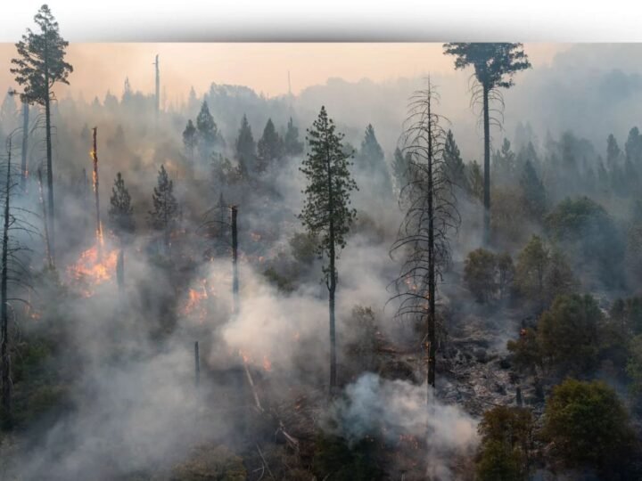 Canarias emplea robots para la prevención de incendios forestales y la mejora de la seguridad