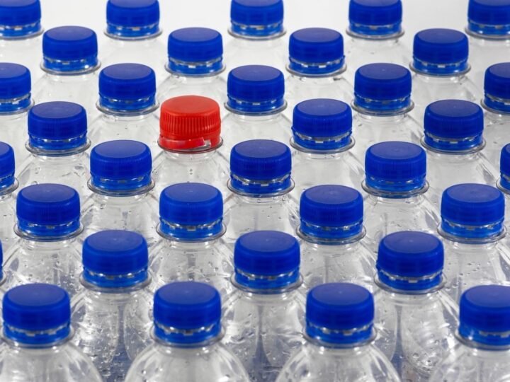 Alianza Verde pide al Gobierno implementar el SDDR en España y cumplir con la ley en 2026