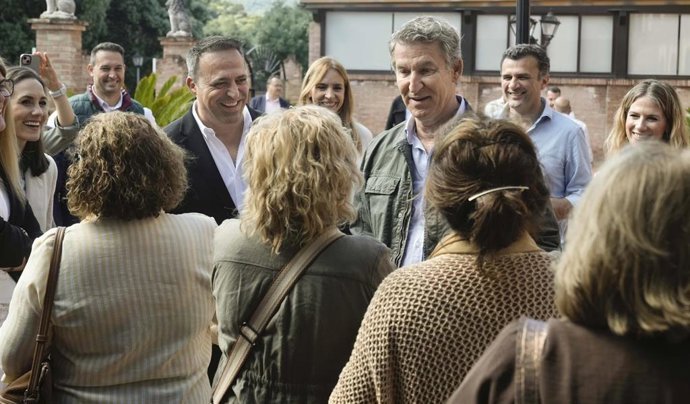 Feijóo critica al Gobierno por «crear confusión» y requiere conocer los expertos que respaldan